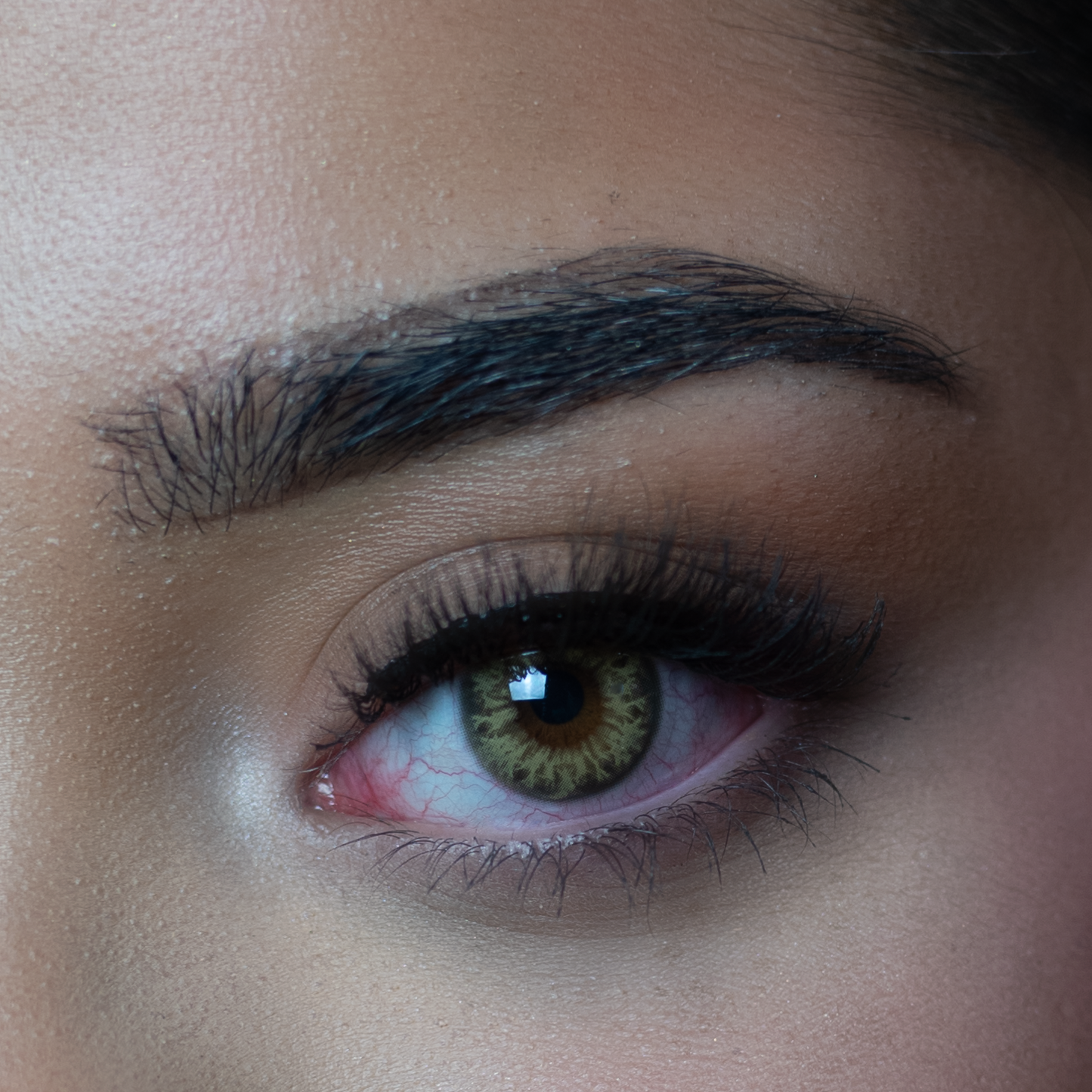 Taylor brown hazel